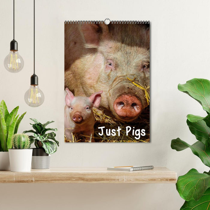 Just Pigs (CALVENDO Monthly Calendar 2025)