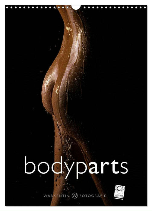 bodyparts (CALVENDO Monthly Calendar 2025)