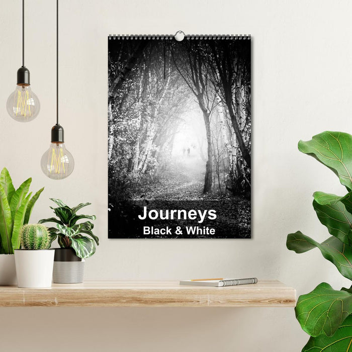 Journeys - Black & White (CALVENDO Monthly Calendar 2025)