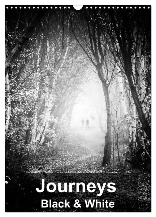 Journeys - Black & White (CALVENDO Monthly Calendar 2025)