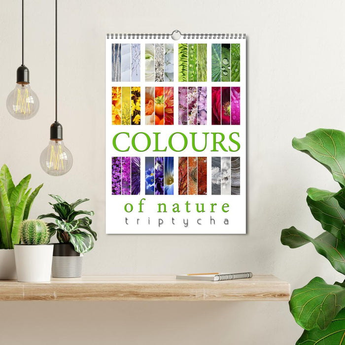 Colours of Nature - Triptycha (CALVENDO Monthly Calendar 2025)