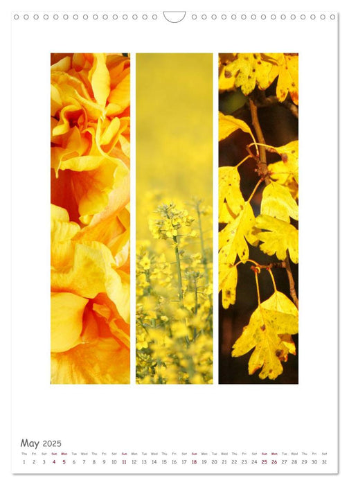 Colours of Nature - Triptycha (CALVENDO Monthly Calendar 2025)