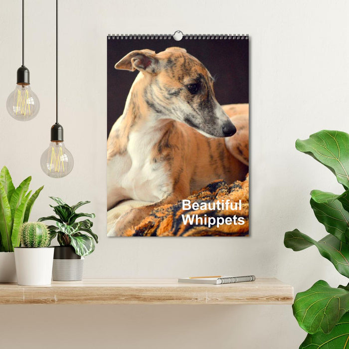 Beautiful Whippets (CALVENDO Monthly Calendar 2025)