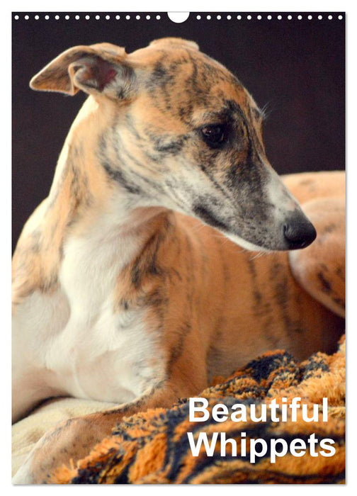 Beautiful Whippets (CALVENDO Monthly Calendar 2025)