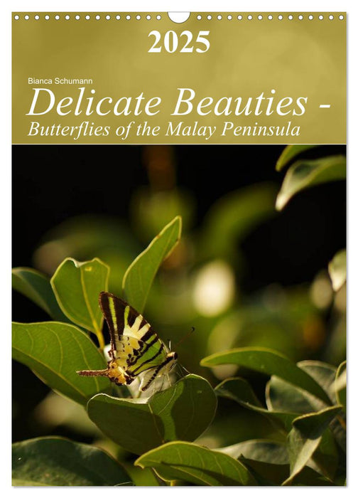 Delicate Beauties - Butterflies of the Malay Peninsula (CALVENDO Monthly Calendar 2025)