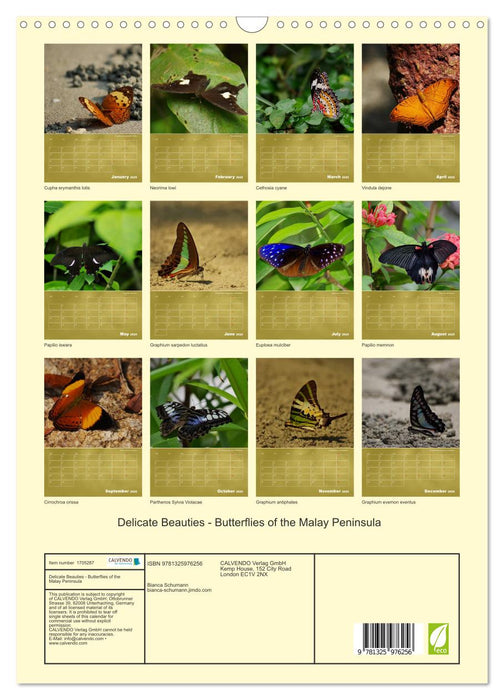 Delicate Beauties - Butterflies of the Malay Peninsula (CALVENDO Monthly Calendar 2025)