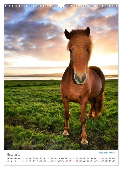 Iceland Calendar 2025 - Discover unique nature - UK Version (CALVENDO Monthly Calendar 2025)