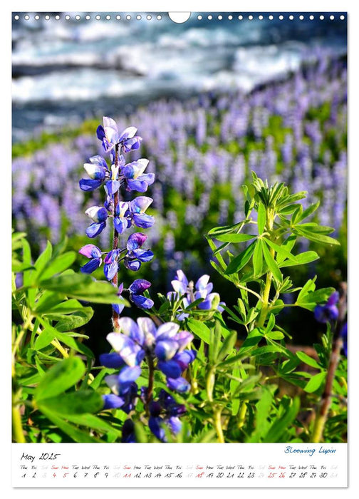 Iceland Calendar 2025 - Discover unique nature - UK Version (CALVENDO Monthly Calendar 2025)