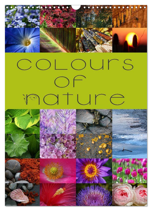 Colours of Nature / UK-Version (CALVENDO Monthly Calendar 2025)