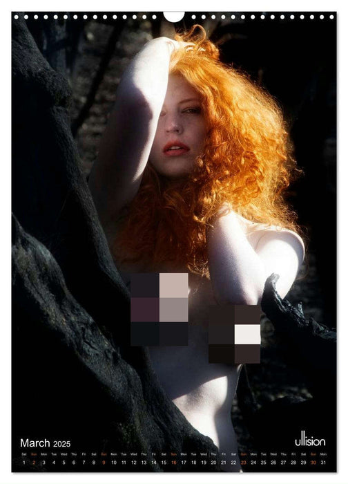 The stunning beauty of REDHEADS (CALVENDO Monthly Calendar 2025)