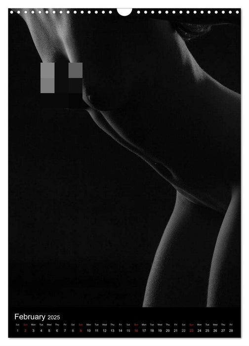 Erotic Silhouettes / UK-Version (CALVENDO Monthly Calendar 2025)