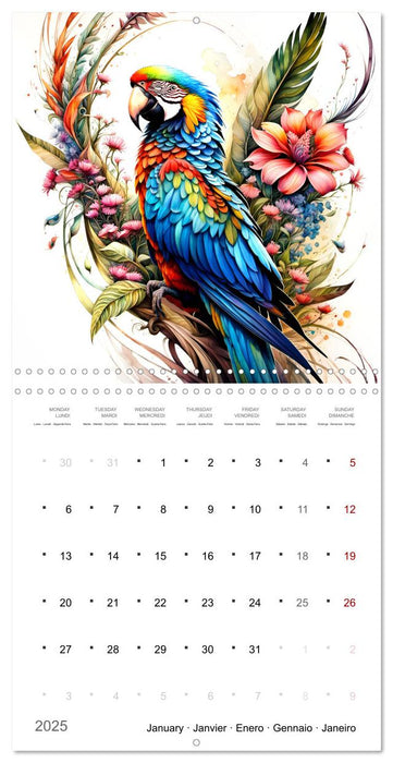 Des perroquets colorés (CALVENDO Calendrier mensuel 2025)