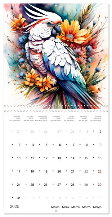 Des perroquets colorés (CALVENDO Calendrier mensuel 2025)