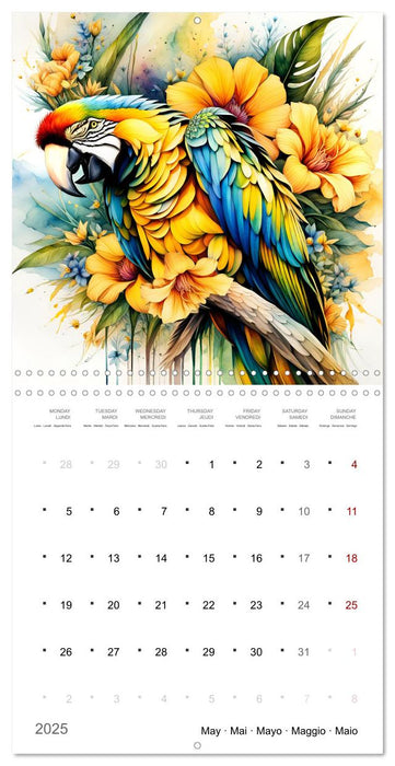 Des perroquets colorés (CALVENDO Calendrier mensuel 2025)