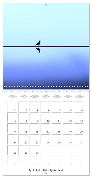 Minimalist Travel (CALVENDO Monthly Calendar 2025)