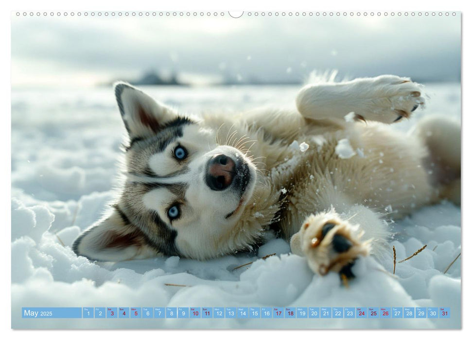 Sled Dogs - the Dream of Running (CALVENDO Monthly Calendar 2025)