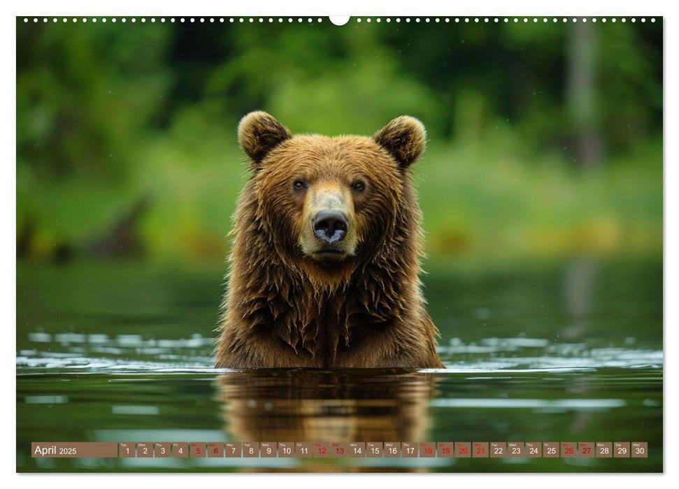 Bears Kingdom (CALVENDO Monthly Calendar 2025)