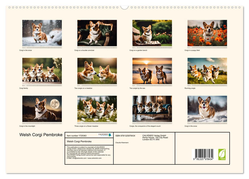 Welsh Corgi Pembroke (CALVENDO Premium-Calendar 2025)