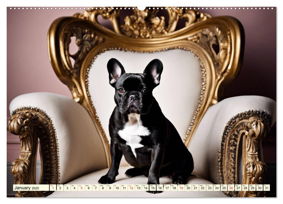 Little kings - French Bulldogs (CALVENDO Monthly Calendar 2025)