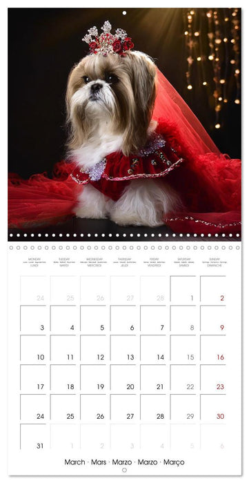 Grand Divas of the Dog World (CALVENDO Monthly Calendar 2025)