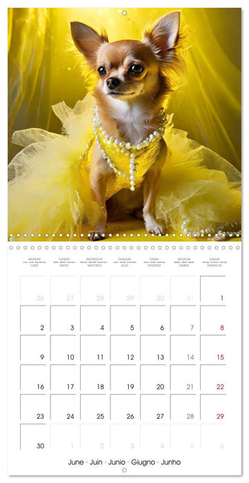 Grand Divas of the Dog World (CALVENDO Monthly Calendar 2025)