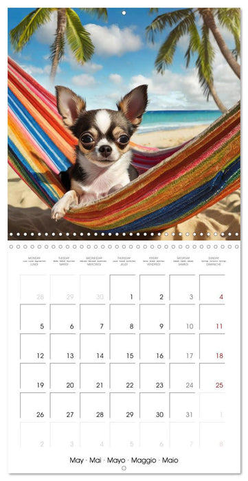 Chilling Chihuahuas (CALVENDO Monthly Calendar 2025)