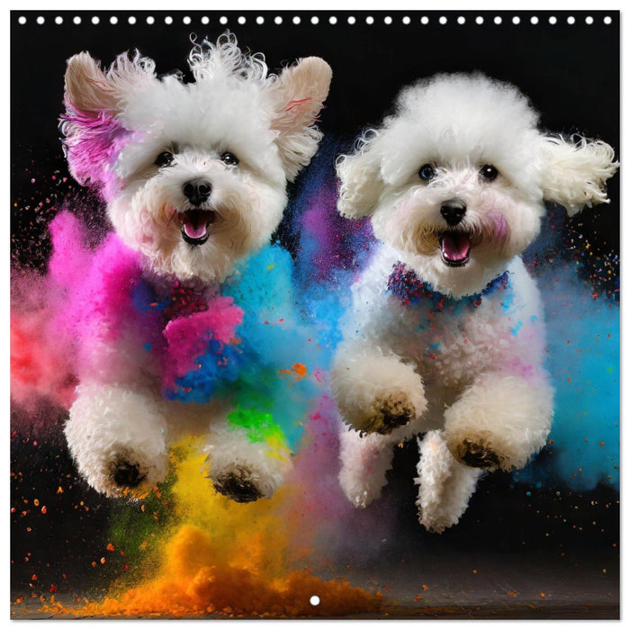 Dynamic Duo - Two Paws, One Leap (CALVENDO Monthly Calendar 2025)