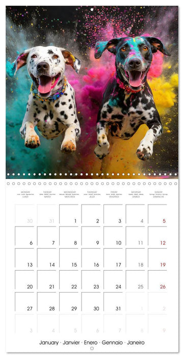 Dynamic Duo - Two Paws, One Leap (CALVENDO Monthly Calendar 2025)