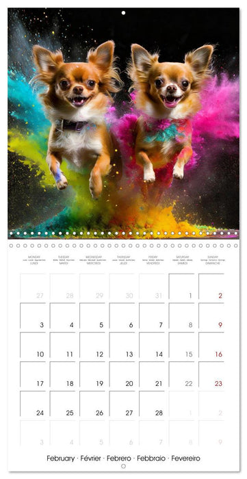 Dynamic Duo - Two Paws, One Leap (CALVENDO Monthly Calendar 2025)