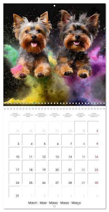 Dynamic Duo - Two Paws, One Leap (CALVENDO Monthly Calendar 2025)