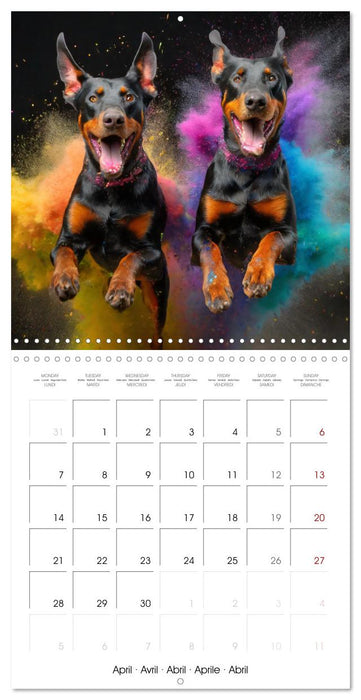 Dynamic Duo - Two Paws, One Leap (CALVENDO Monthly Calendar 2025)