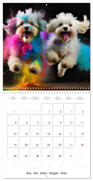 Dynamic Duo - Two Paws, One Leap (CALVENDO Monthly Calendar 2025)