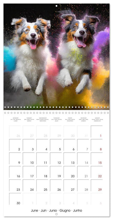 Dynamic Duo - Two Paws, One Leap (CALVENDO Monthly Calendar 2025)