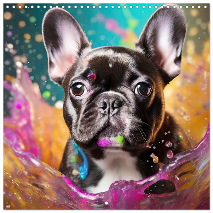 Colourful Splash Dogs (CALVENDO Monthly Calendar 2025)