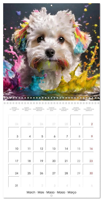 Colourful Splash Dogs (CALVENDO Monthly Calendar 2025)