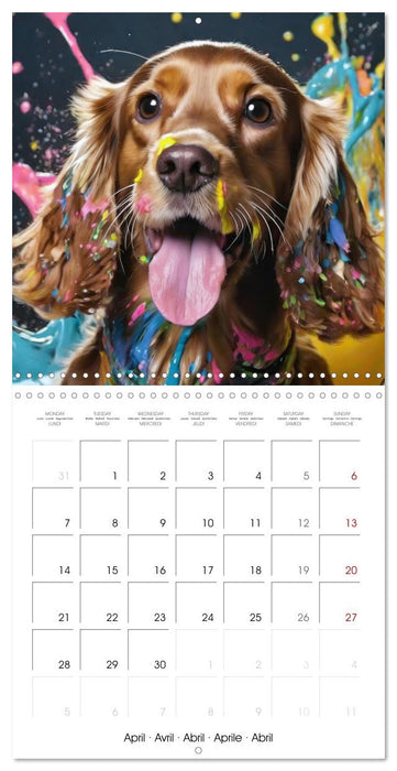 Colourful Splash Dogs (CALVENDO Monthly Calendar 2025)