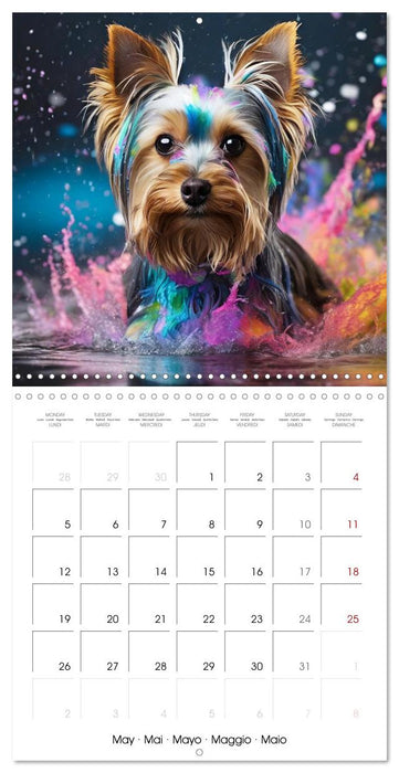 Colourful Splash Dogs (CALVENDO Monthly Calendar 2025)