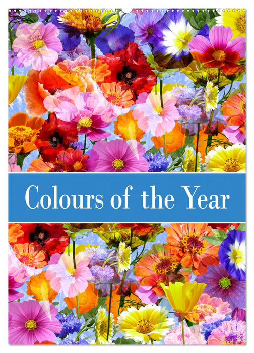 Colours of the Year (CALVENDO Monthly Calendar 2025)