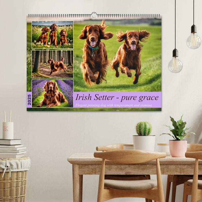 Irish Setter - pure grace (CALVENDO Monthly Calendar 2025)