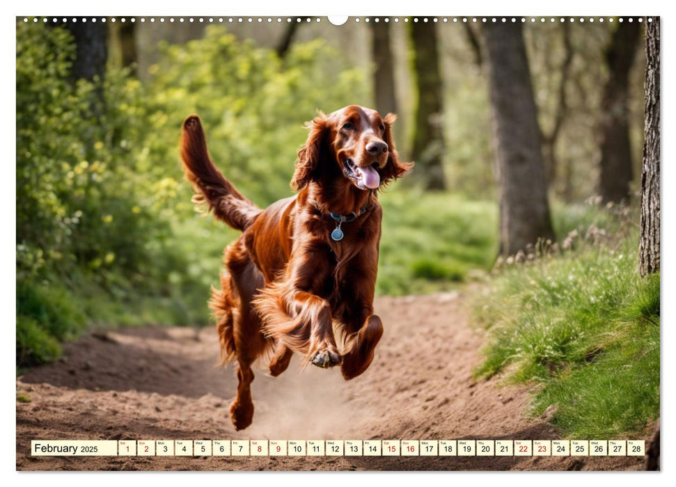 Irish Setter - pure grace (CALVENDO Monthly Calendar 2025)