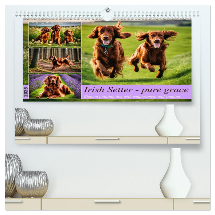 Irish Setter - pure grace (CALVENDO Premium-Calendar 2025)