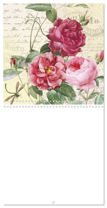 The Magical Roses Collages with roses from Pierre Joseph Redouté (CALVENDO Monthly Calendar 2025)