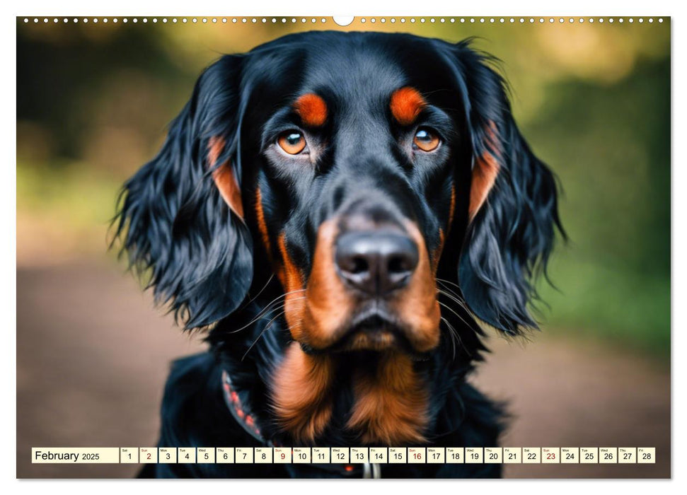 Gordon Setter - elegant powerhouse (CALVENDO Monthly Calendar 2025)