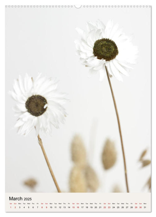 Dried Flowers (CALVENDO Monthly Calendar 2025)