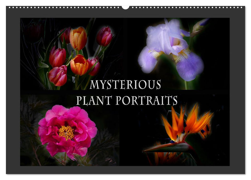 Mysterious plant portraits (CALVENDO Monthly Calendar 2025)