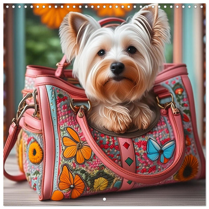 Handbag dogs - always with you (CALVENDO Monthly Calendar 2025)