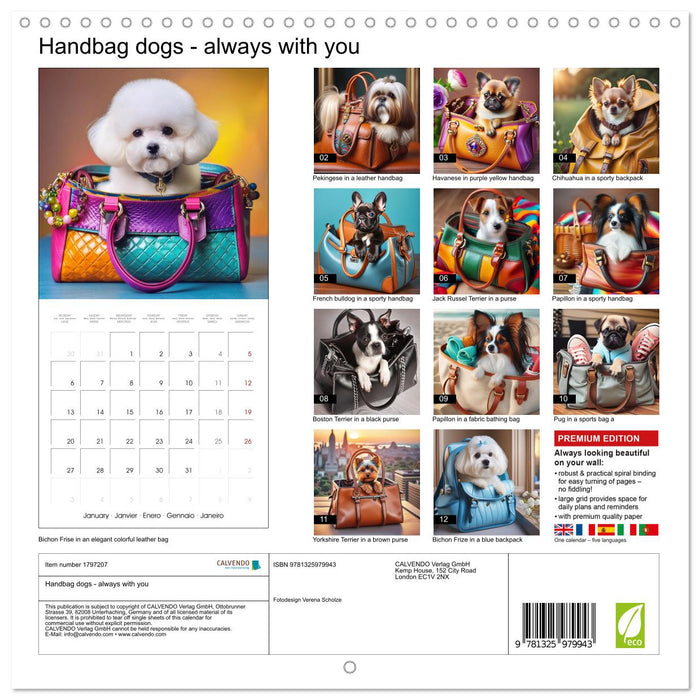 Handbag dogs - always with you (CALVENDO Monthly Calendar 2025)