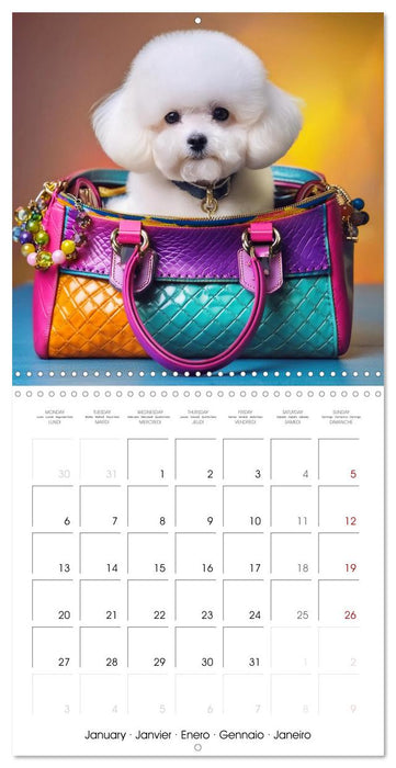 Handbag dogs - always with you (CALVENDO Monthly Calendar 2025)