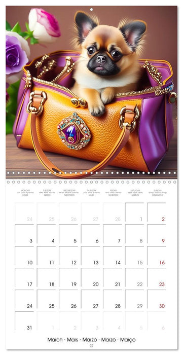 Handbag dogs - always with you (CALVENDO Monthly Calendar 2025)