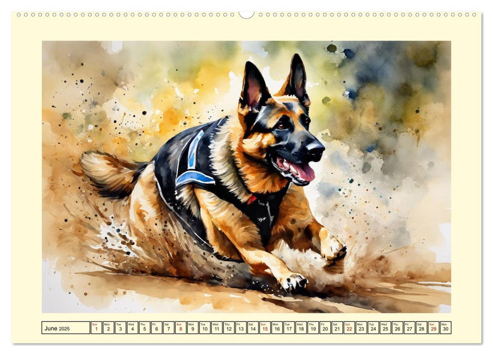 German Shepherds - classics around the globe (CALVENDO Monthly Calendar 2025)